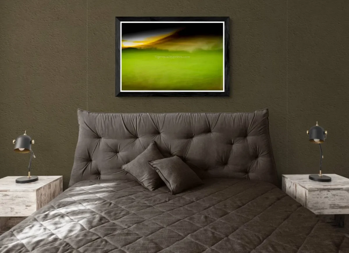 006 FRAMED CANVA 3.webp