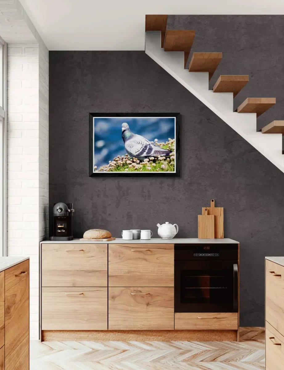 122 FRAMED CANVA.webp