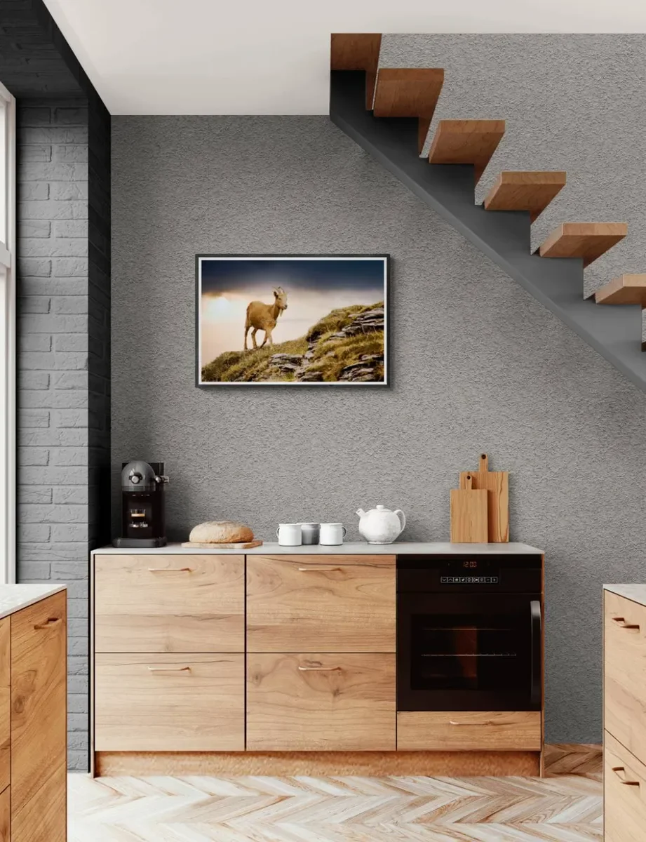 079 FRAMED CANVA.webp