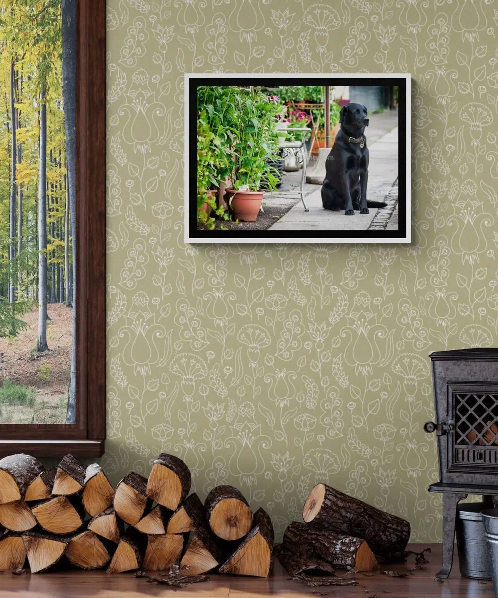 031 FRAMED CANVA 2.webp