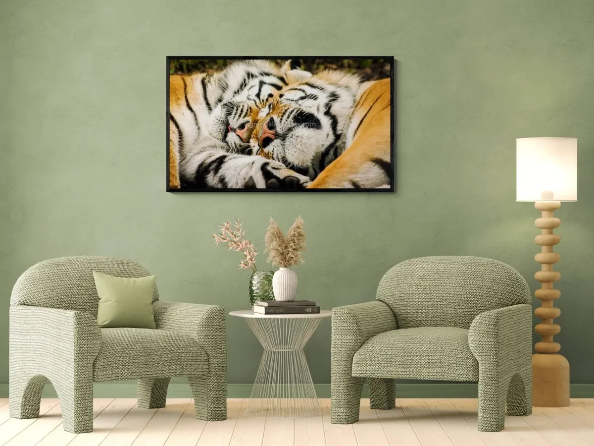 025 FRAMED CANVA.webp