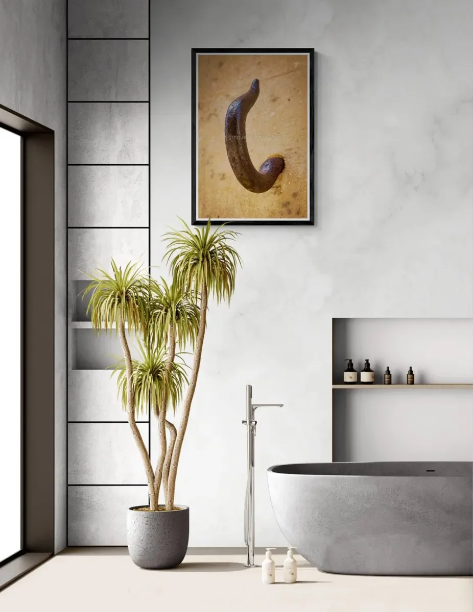 152 FRAMED CANVA.webp