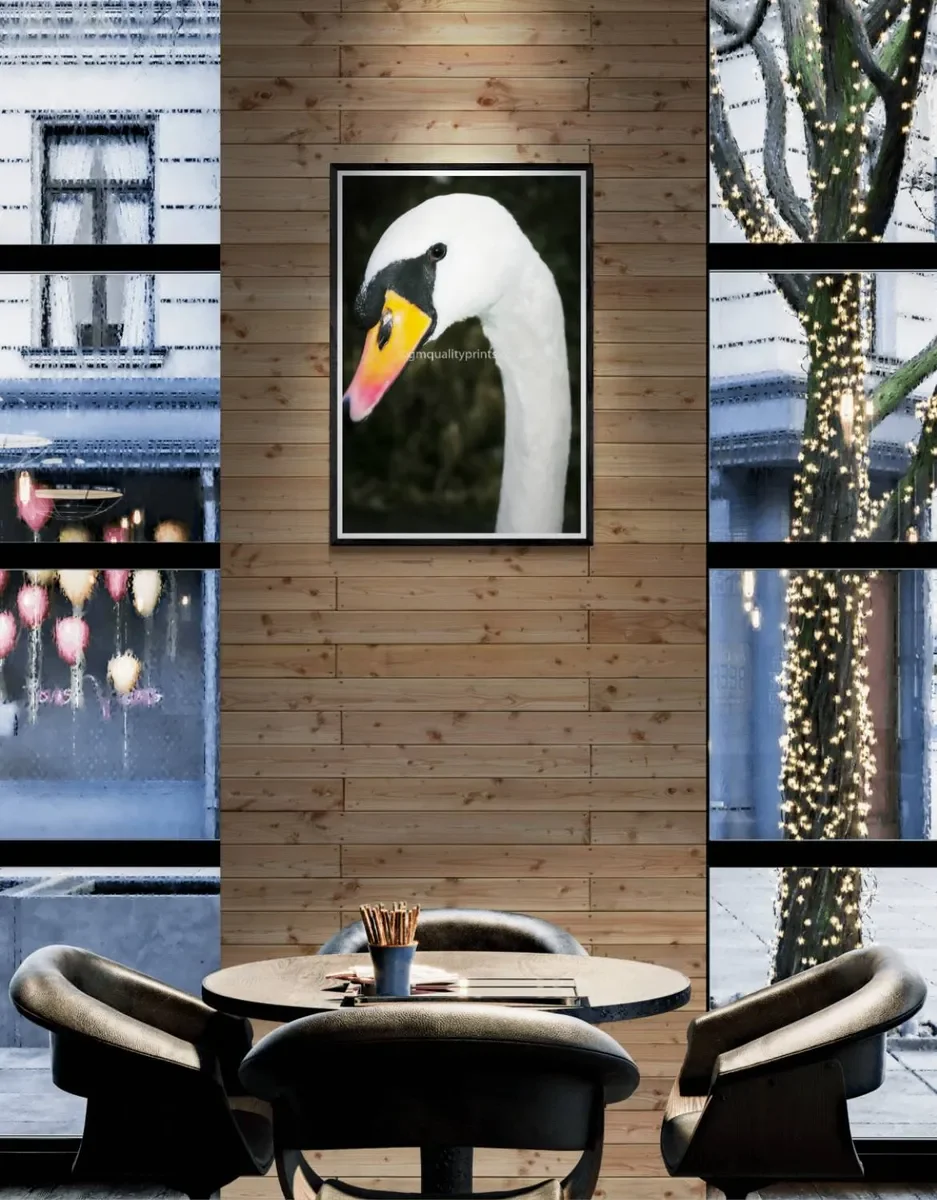 183 FRAMED CANVA 4.webp