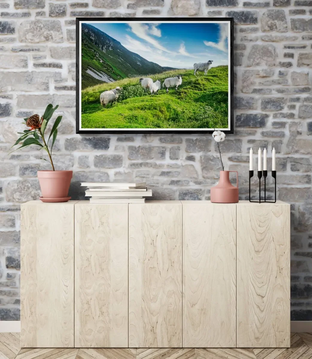 078 CANVA FRAMED 5.webp