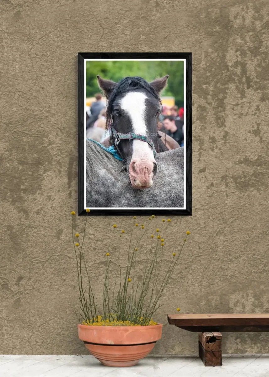 086 FRAMED CANVA 4.webp