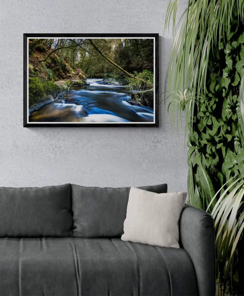 160 FRAMED CANVA 2.webp