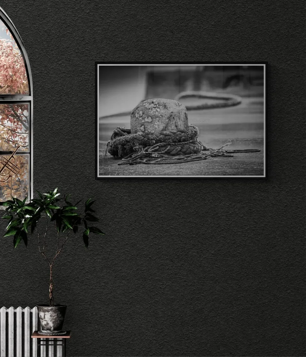 033 FRAMED CANVA.webp