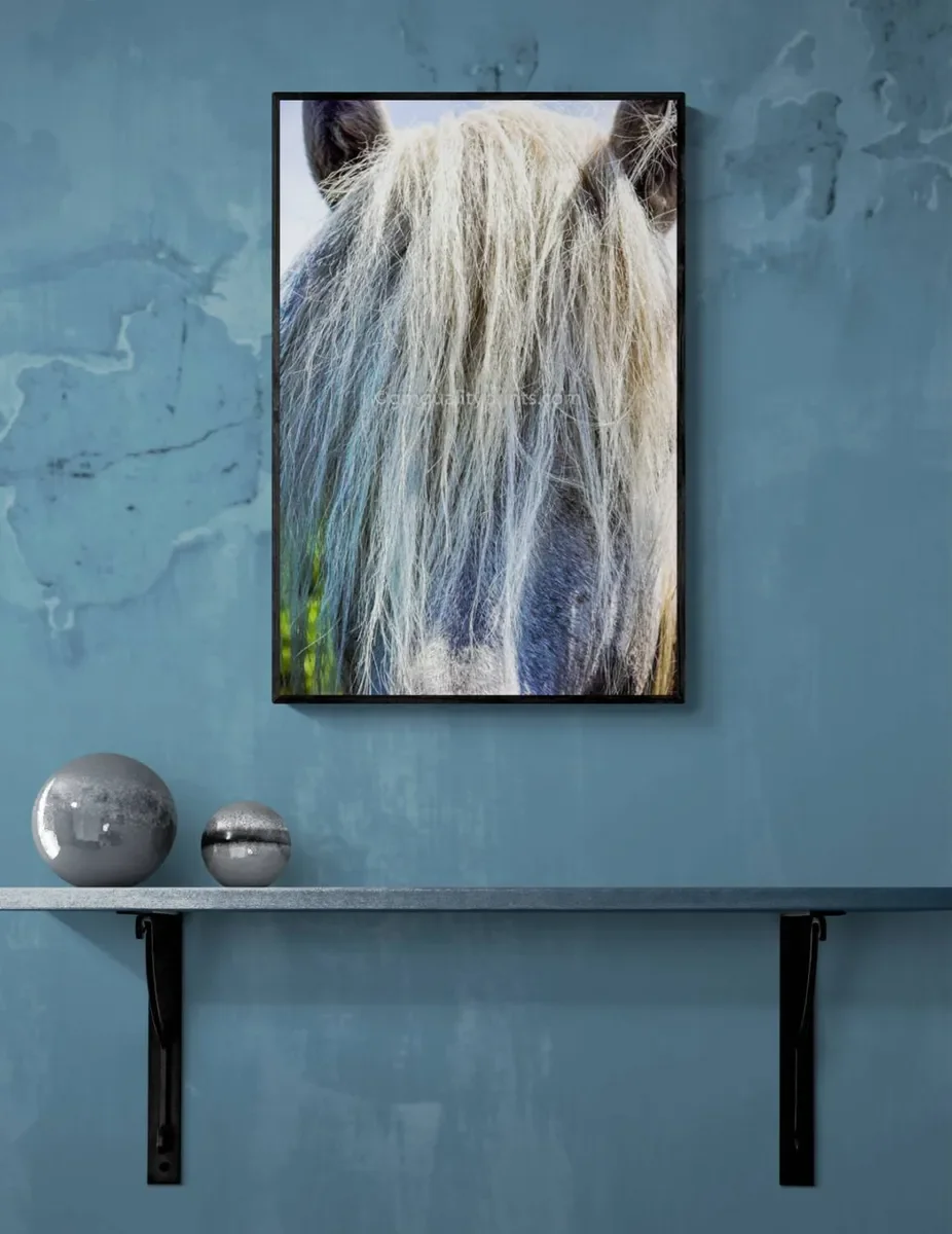 073 FRAMED CANVA 4.webp