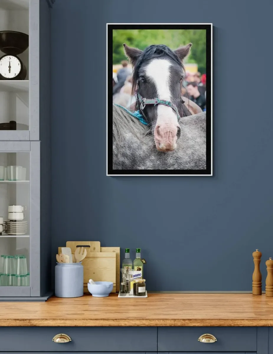 086 FRAMED CANVA 5.webp