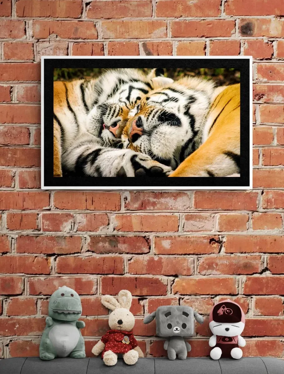 025 FRAMED CANVA 3.webp