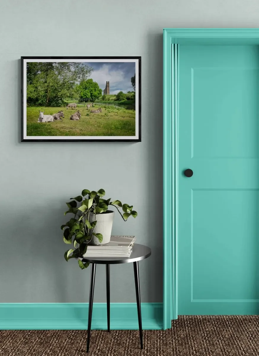 062 FRAMED CANVA 4.webp