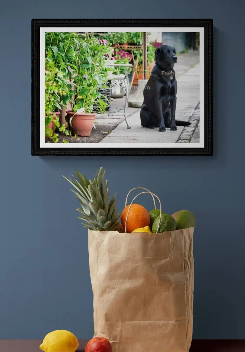 031 FRAMED CANVA.webp