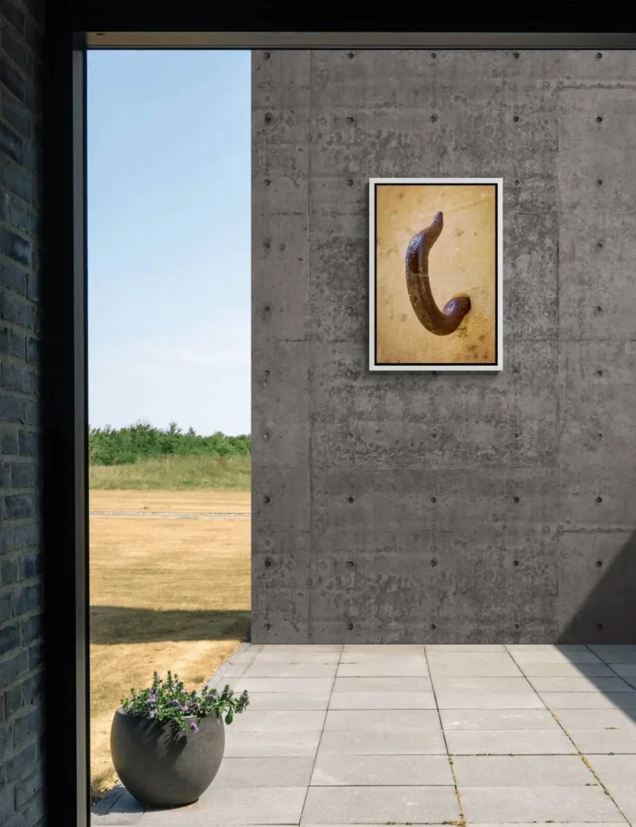 152 FRAMED CANVA 2.webp