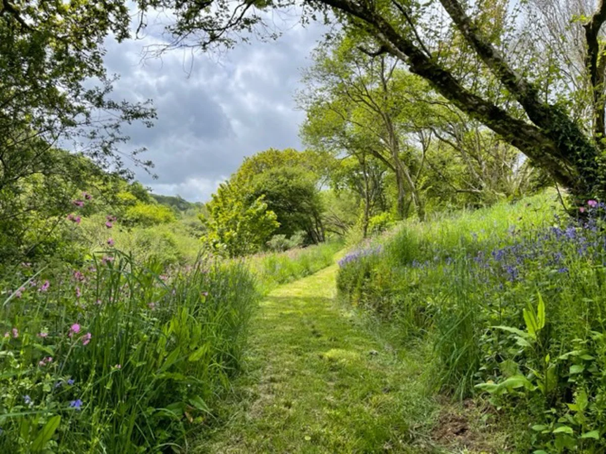 cornish-house-cornwall-peagreen-loactions (39).jpg