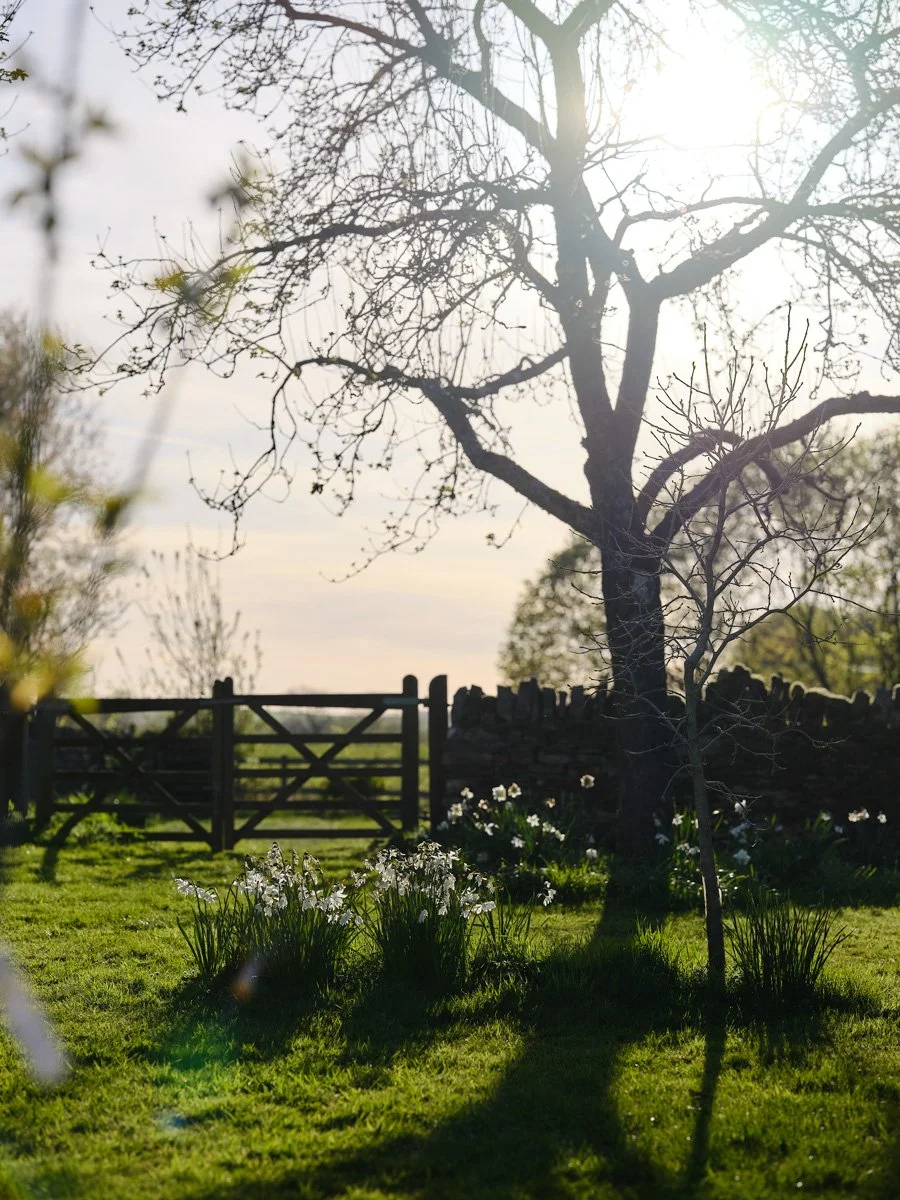 Cotswolds Winter 266.jpg