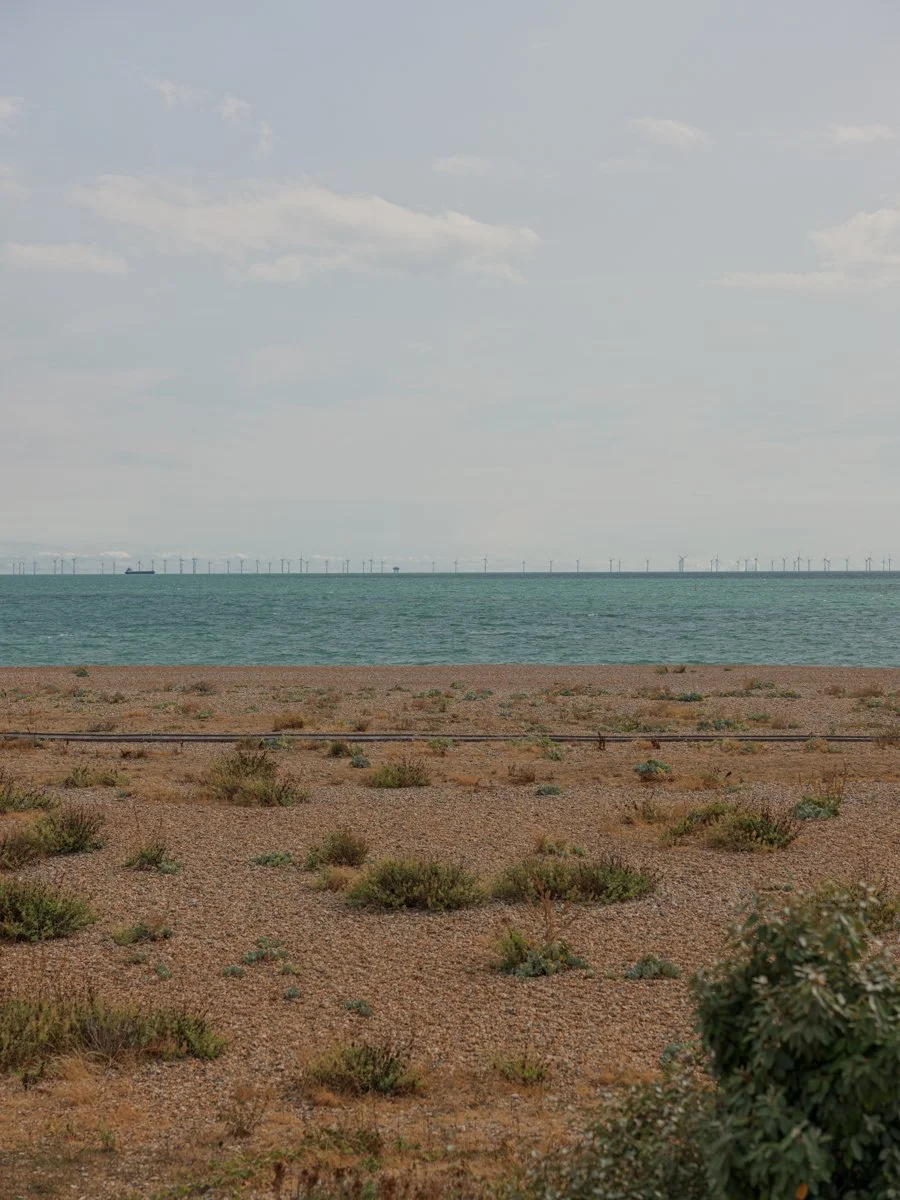saltwind - west sussex - peagreen - locations (177).jpg