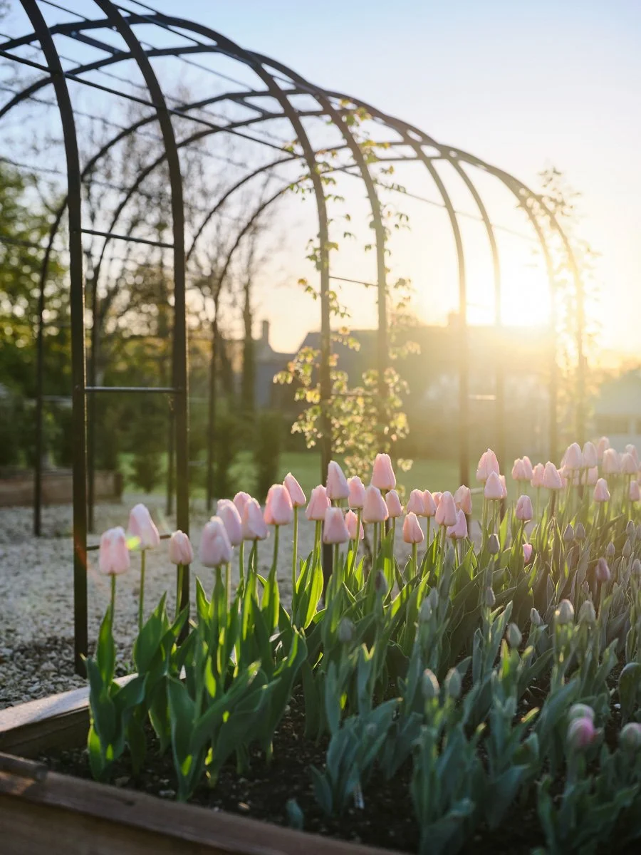 Cotswolds Winter 246.jpg