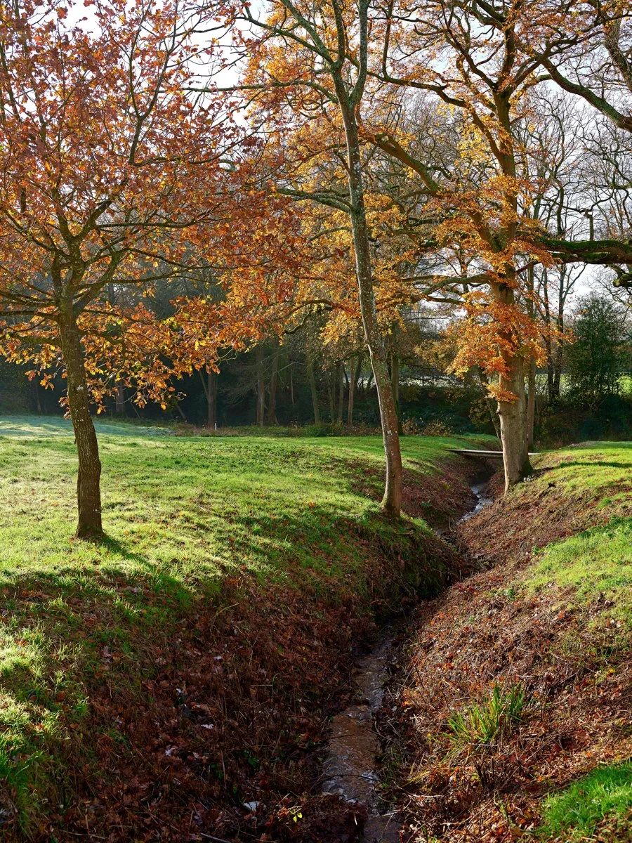 Okebrook Garden_15.jpg