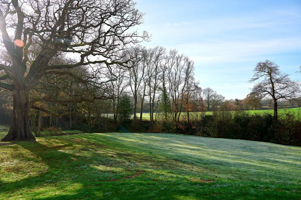 Okebrook Garden_13.jpg