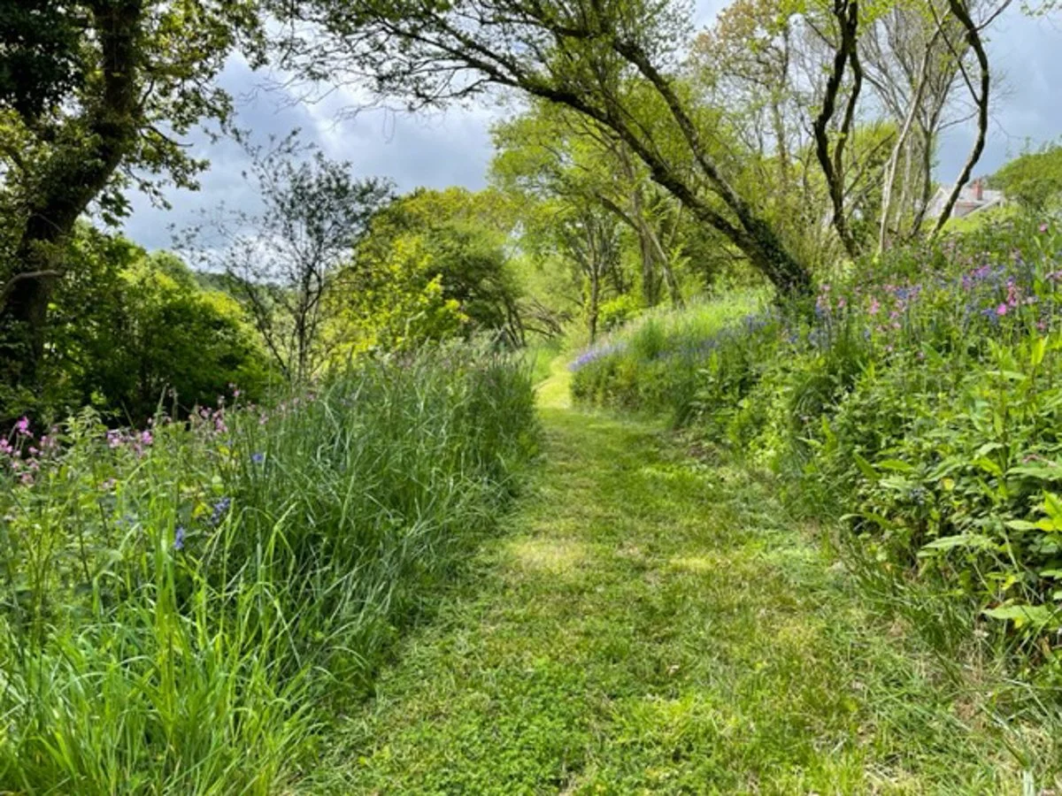 cornish-house-cornwall-peagreen-loactions (38).jpg