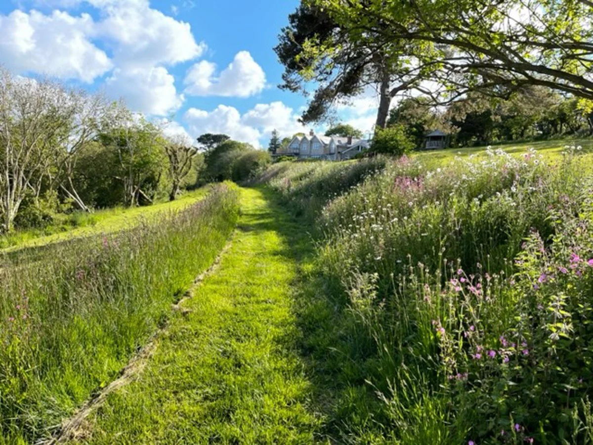 cornish-house-cornwall-peagreen-loactions (40).jpg