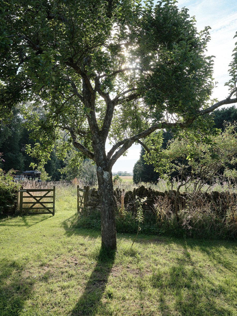 Charlbury-farm-Warwickshire-peagreen-locations (52).jpg