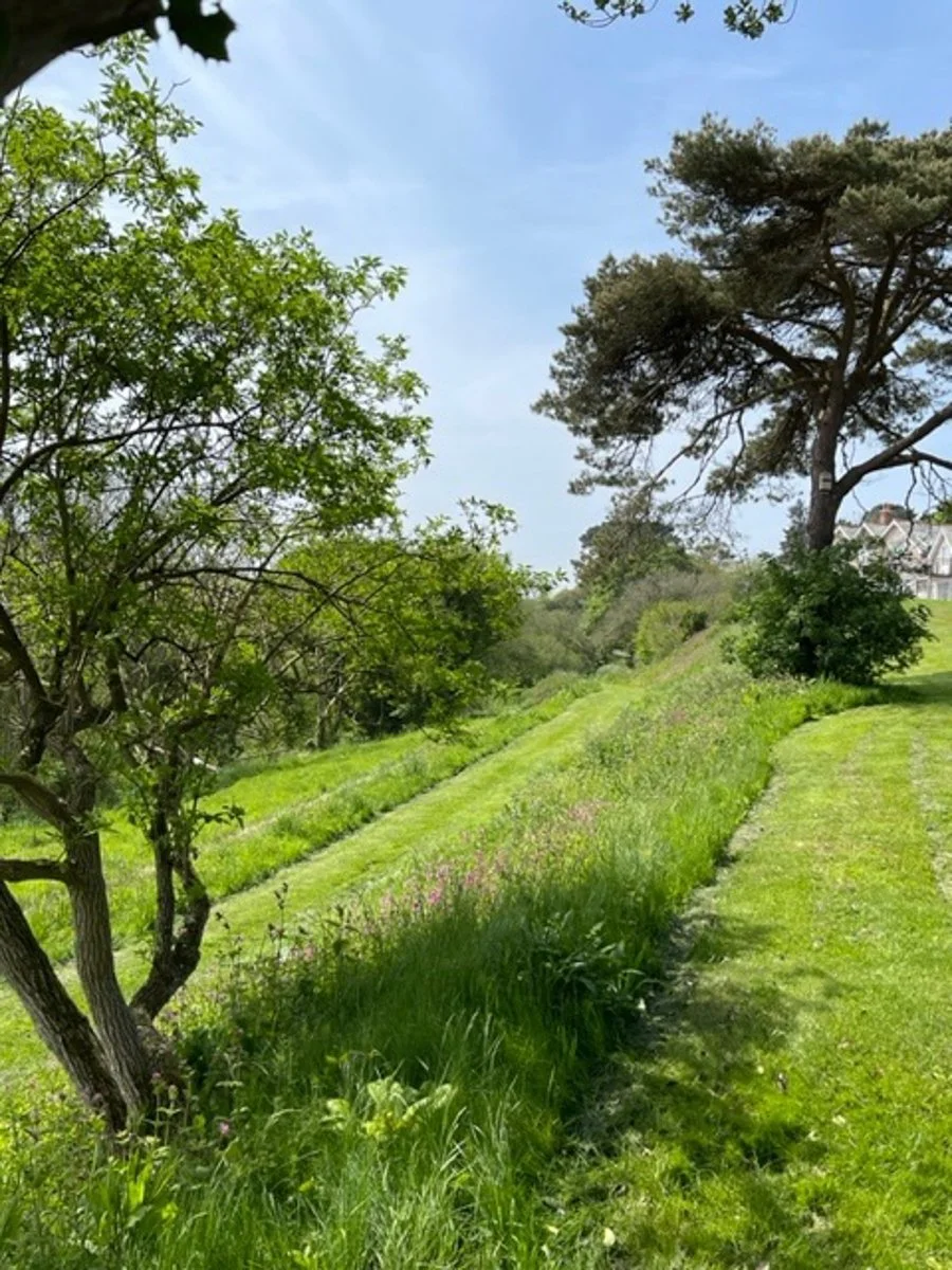 cornish-house-cornwall-peagreen-loactions (41).jpg