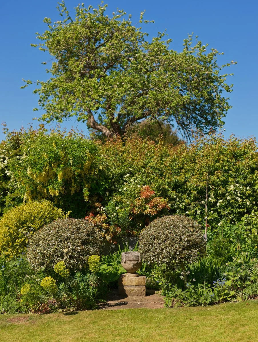 old-docors-house-oxfordshire-peagrren-locations (8).jpg