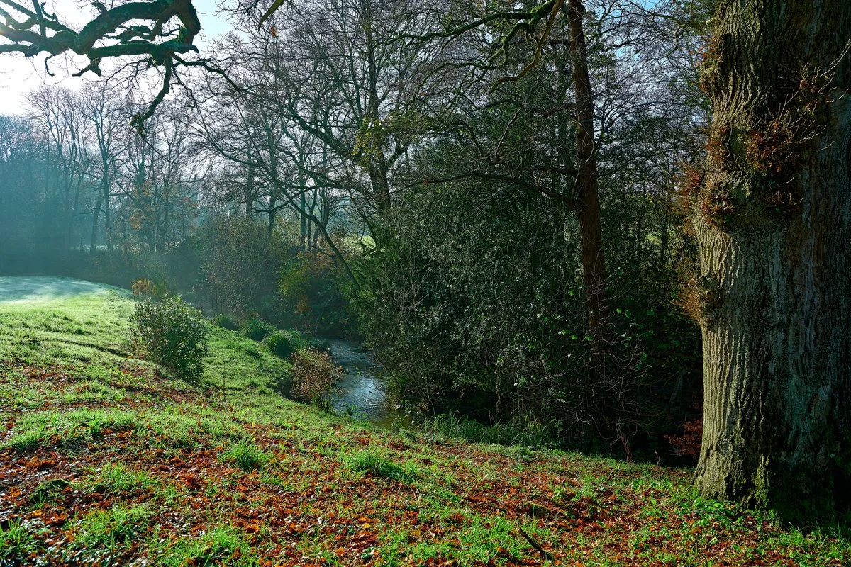 Okebrook Garden_11.jpg