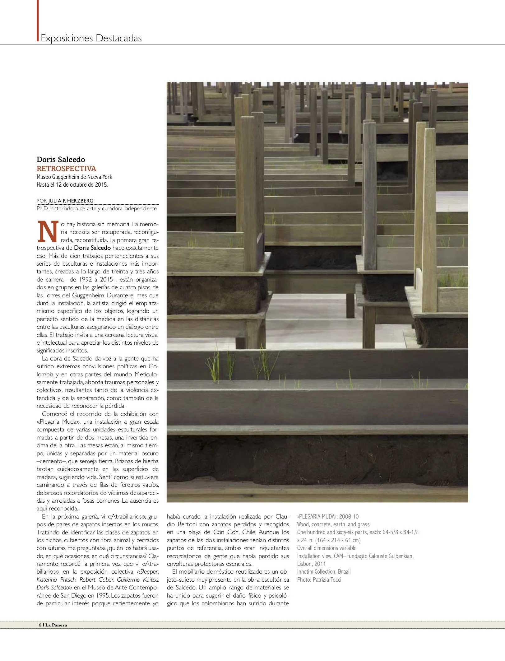 Doris Salcedo