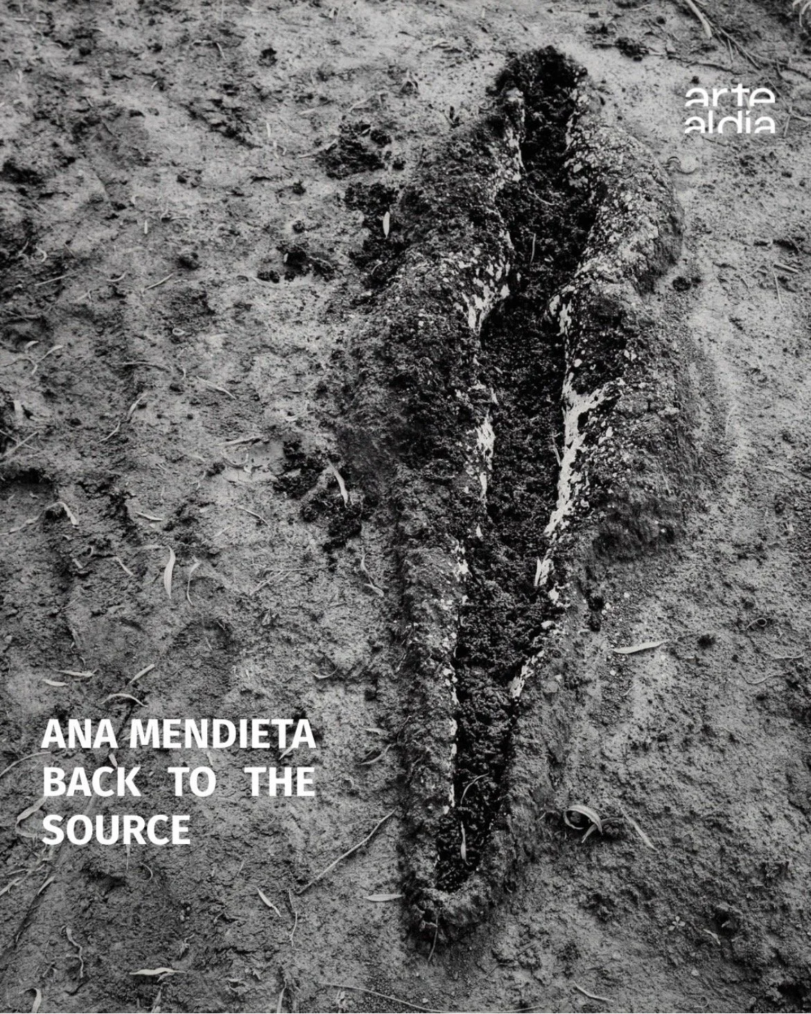 Ana Mendieta