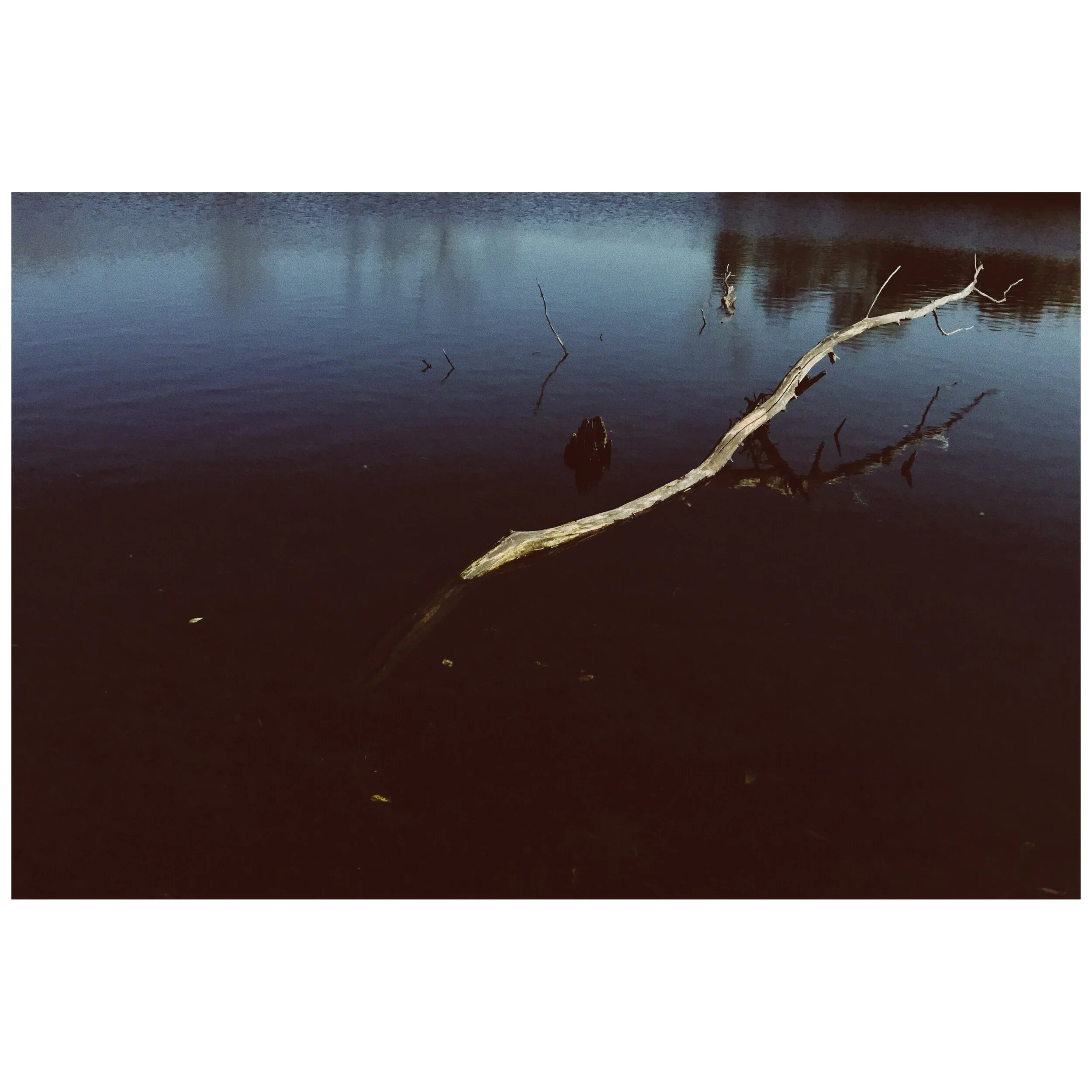 darkness that surrounds the corporate world