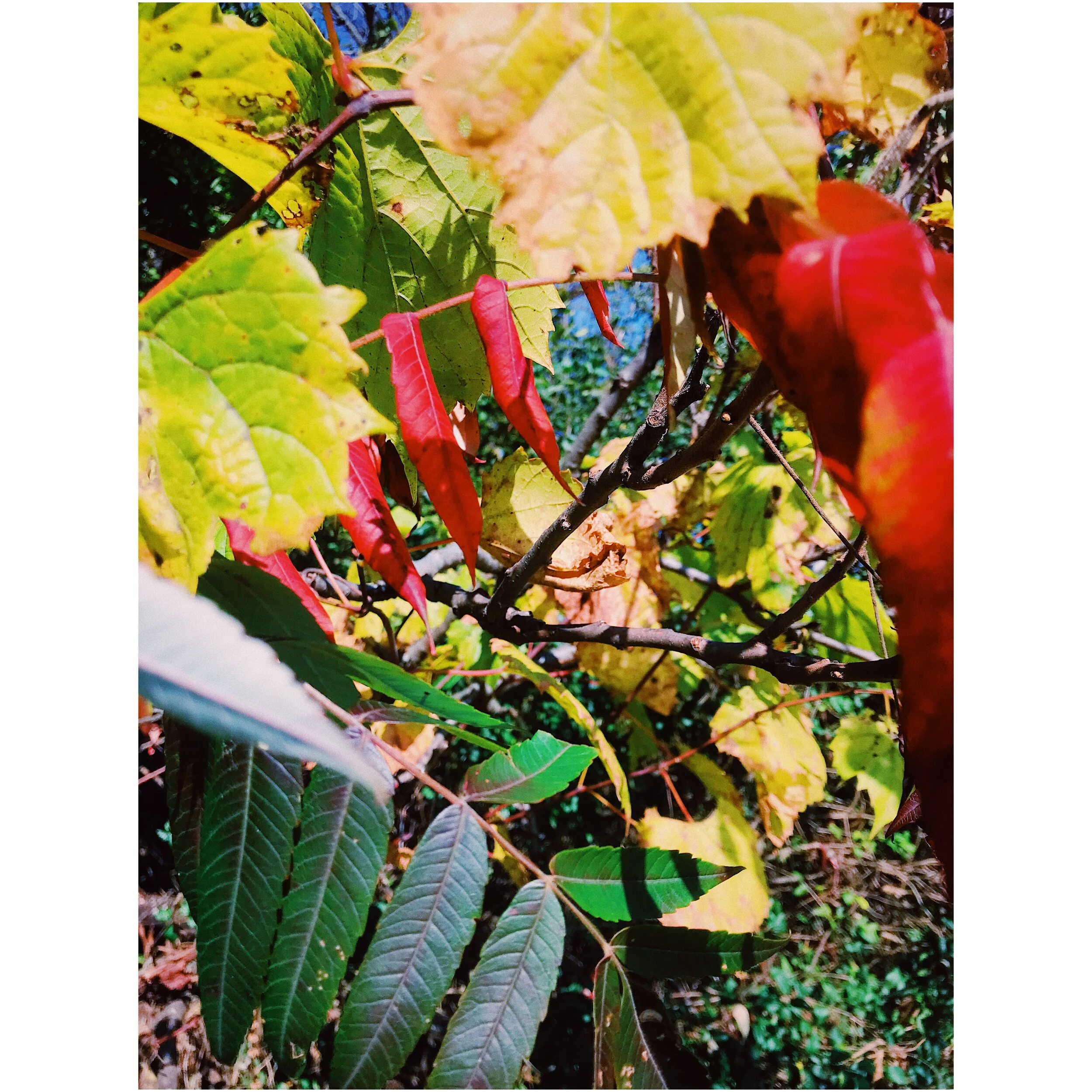 nothing could make me think of you less