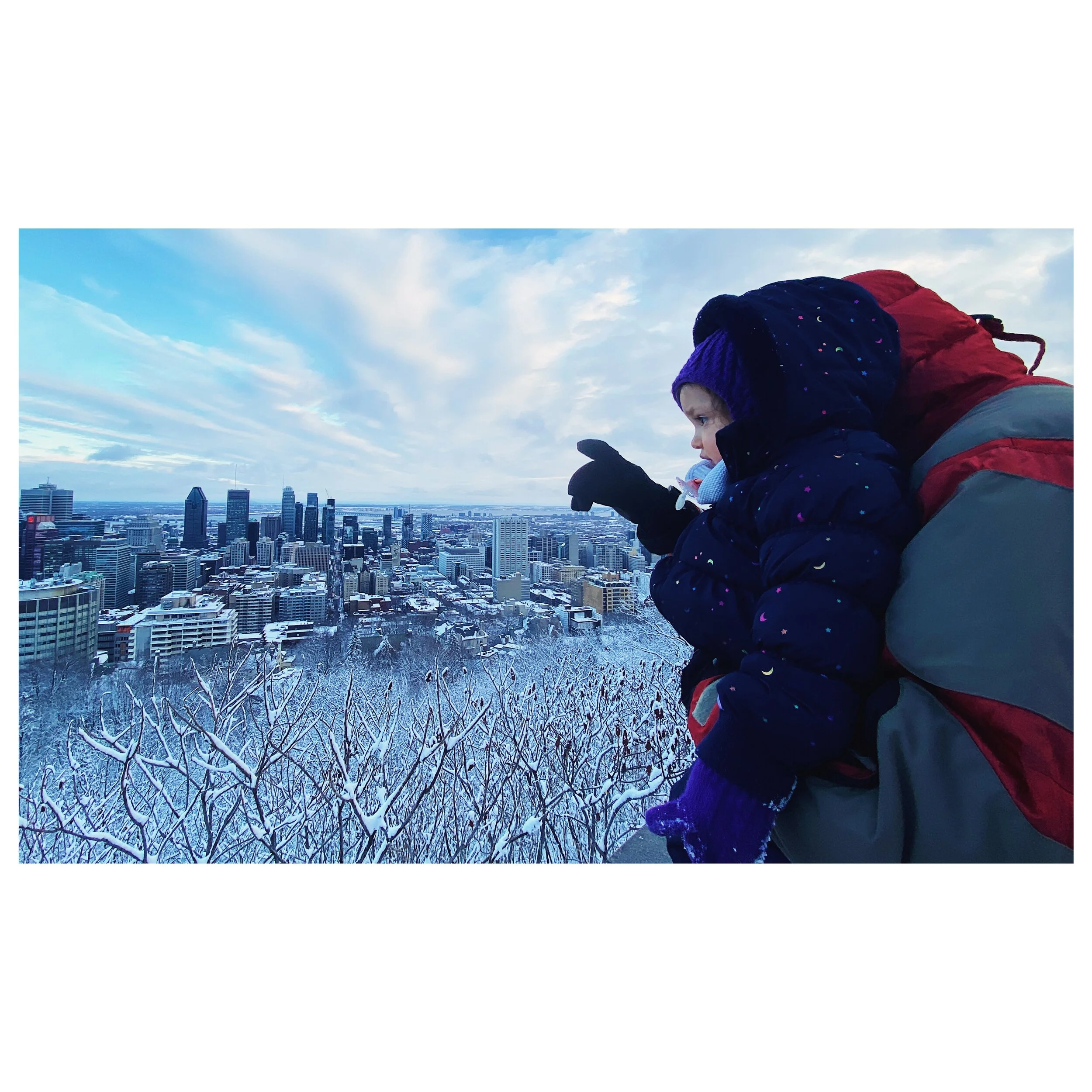 overlooking Montréal 