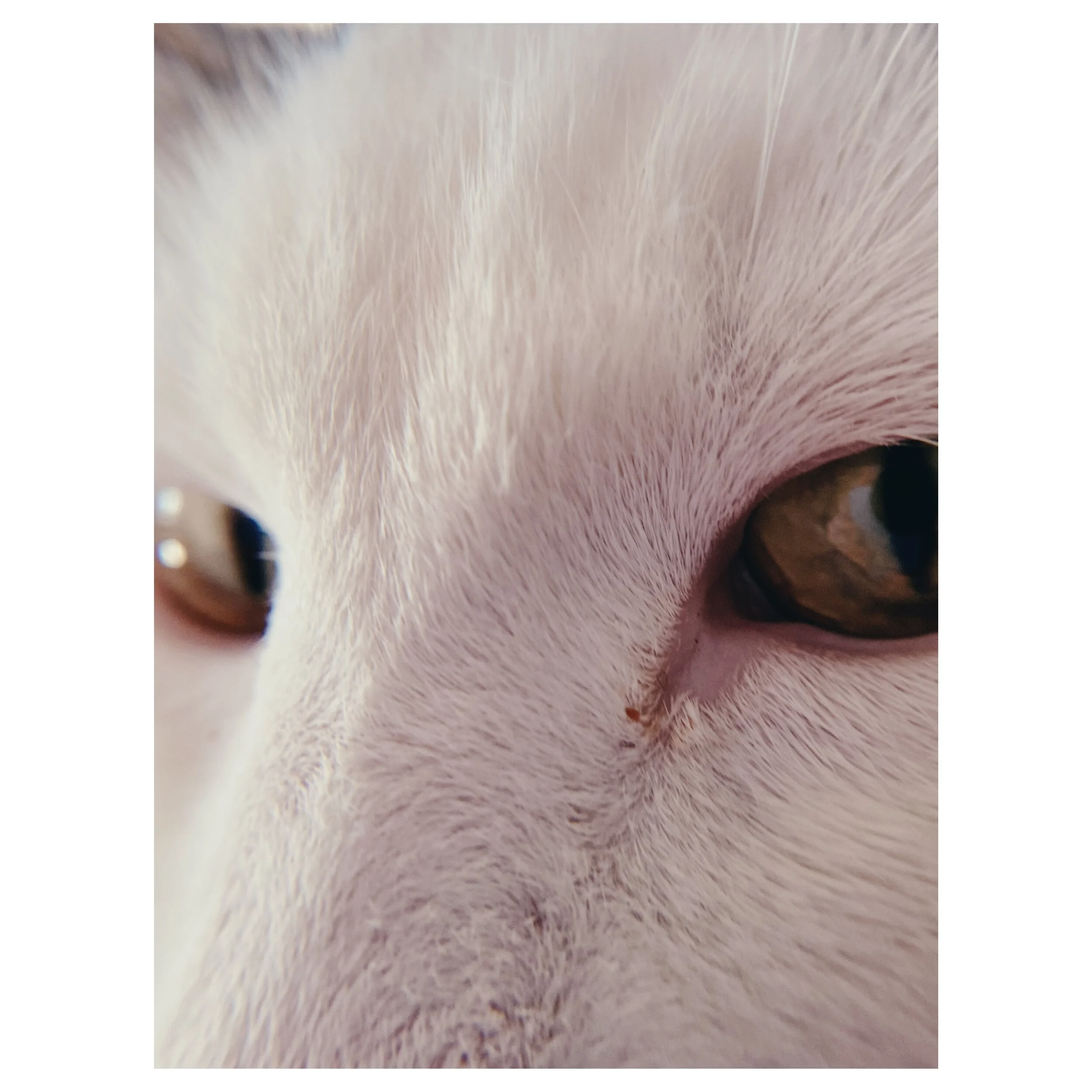 not as evil as he seems