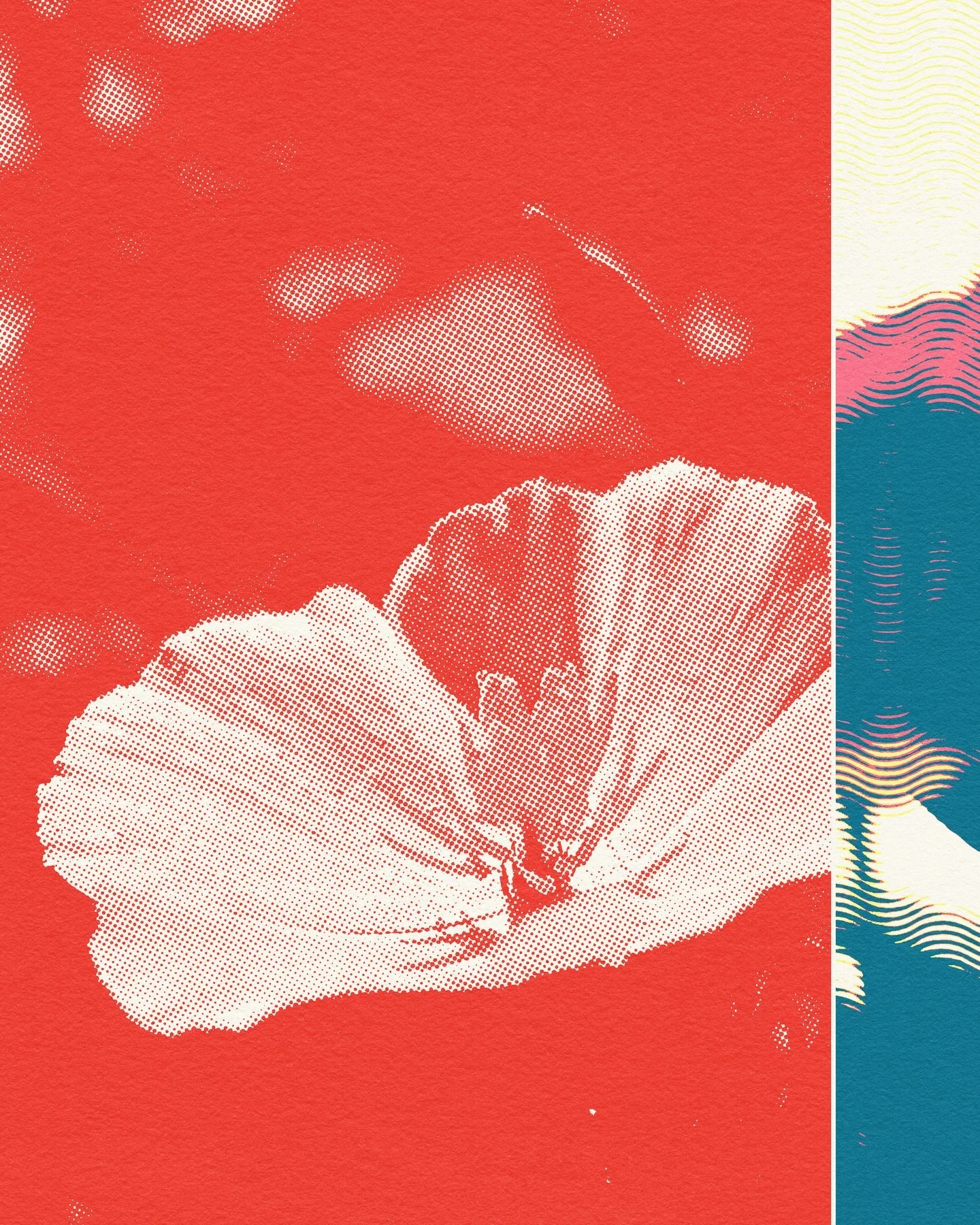 Last winter, I planted poppies throughout my garden. They were the first of many seeds to germinate, quickly climbing towards the sun.

I was enchanted by every one of them, each a reminder how of lucky I am to have the space (and peace) to tend to a