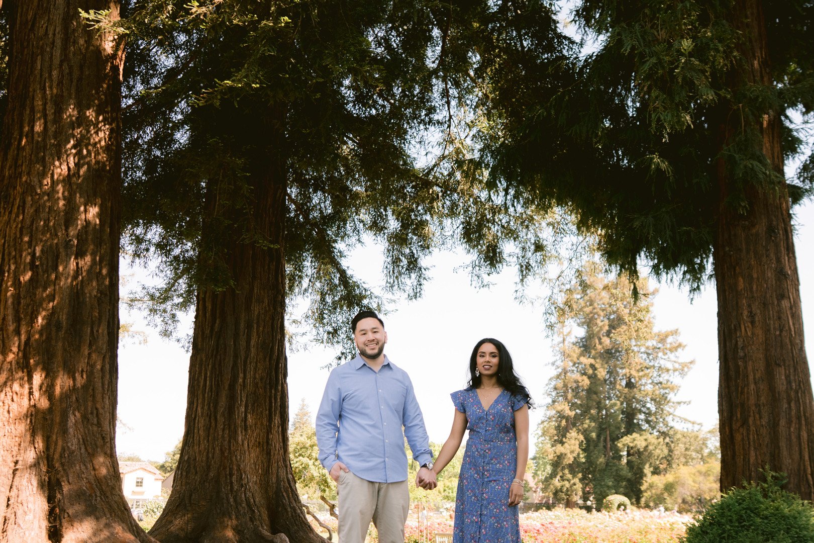 rose_garden_engagement-30.jpg