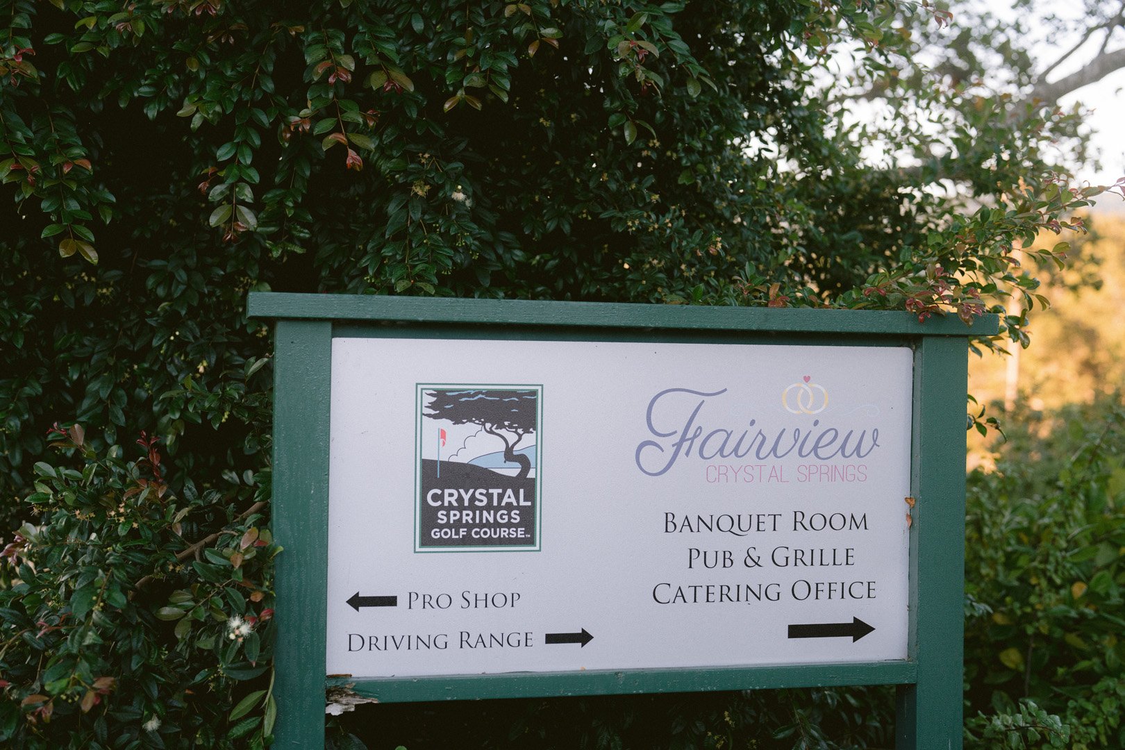 Fairview_crystal_springs_indian_wedding_photofairview_crystalsprings_indian_wedding_photos-13.jpg
