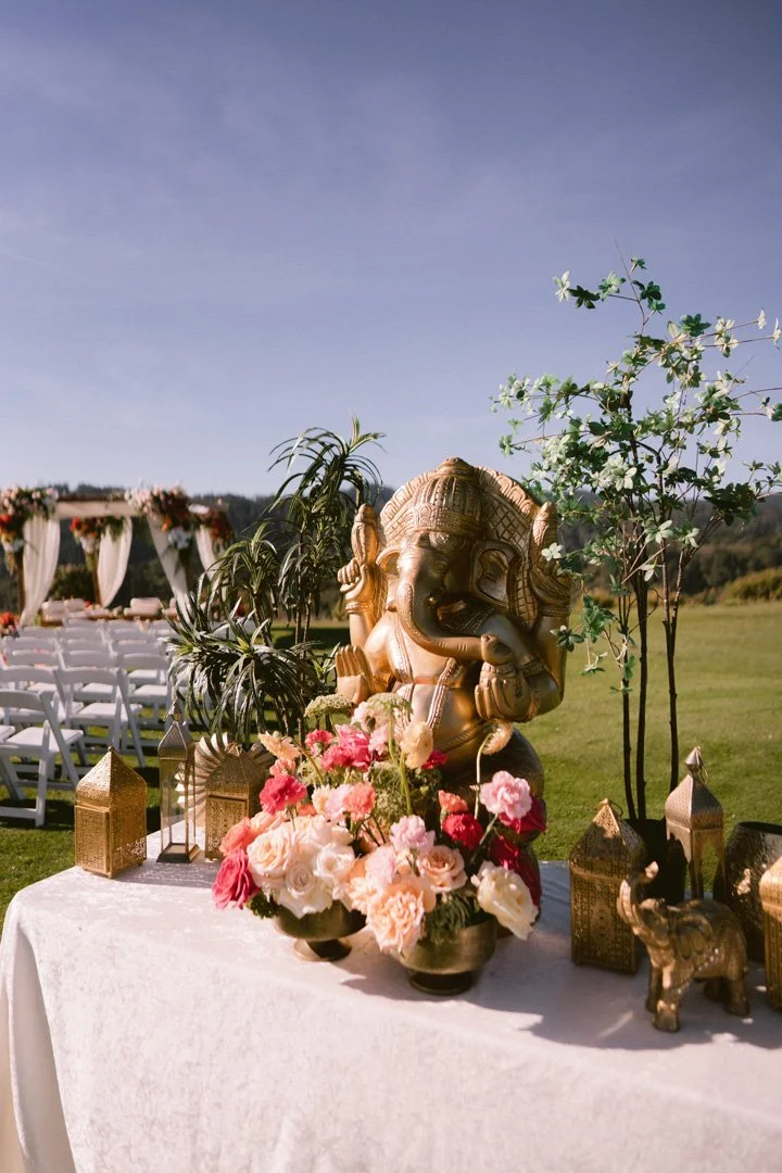 Fairview_crystal_springs_indian_wedding_photofairview_crystalsprings_indian_wedding_photos-113.jpg
