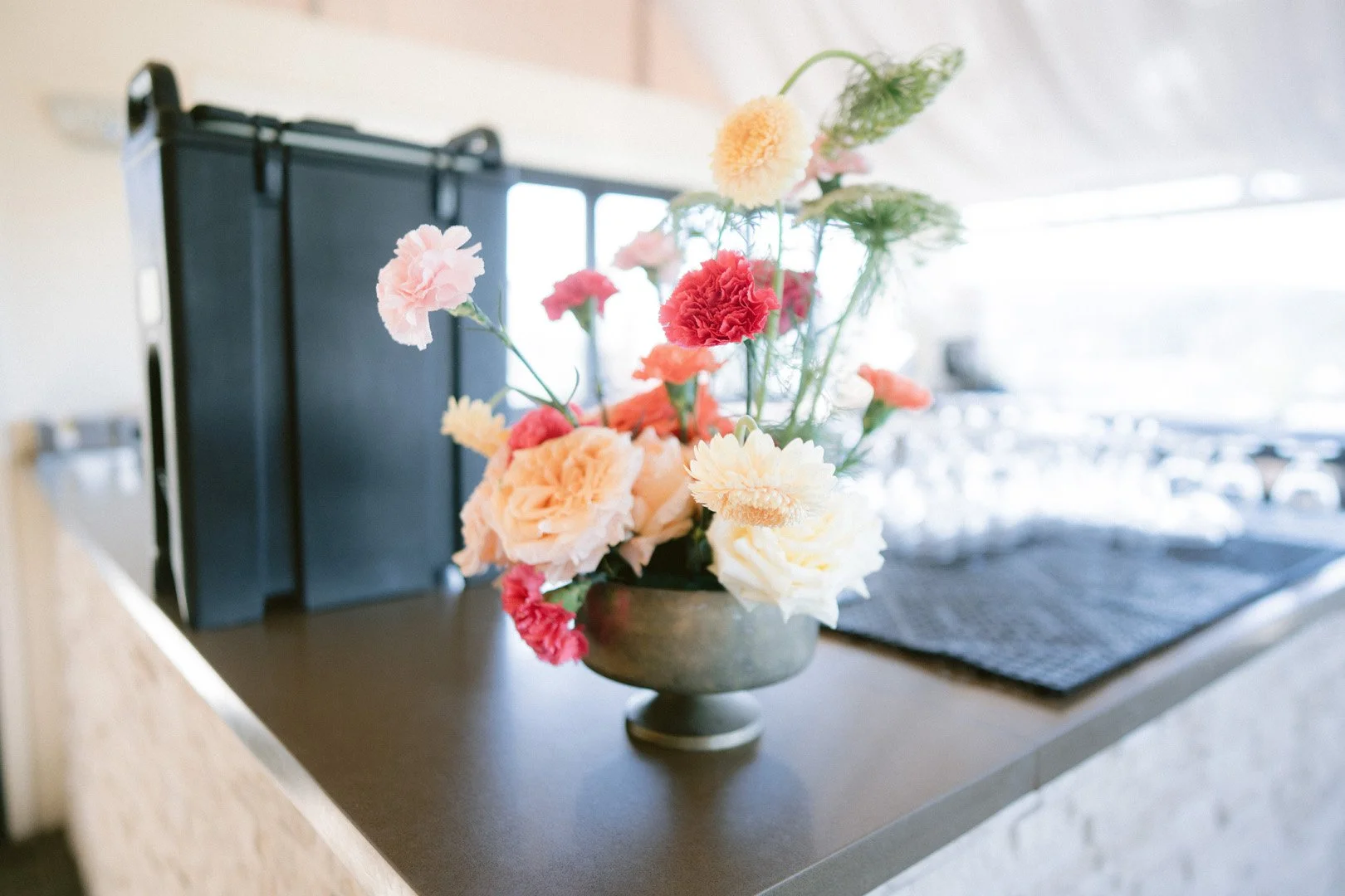 Fairview_crystal_springs_indian_wedding_photofairview_crystalsprings_indian_wedding_photos-225.jpg