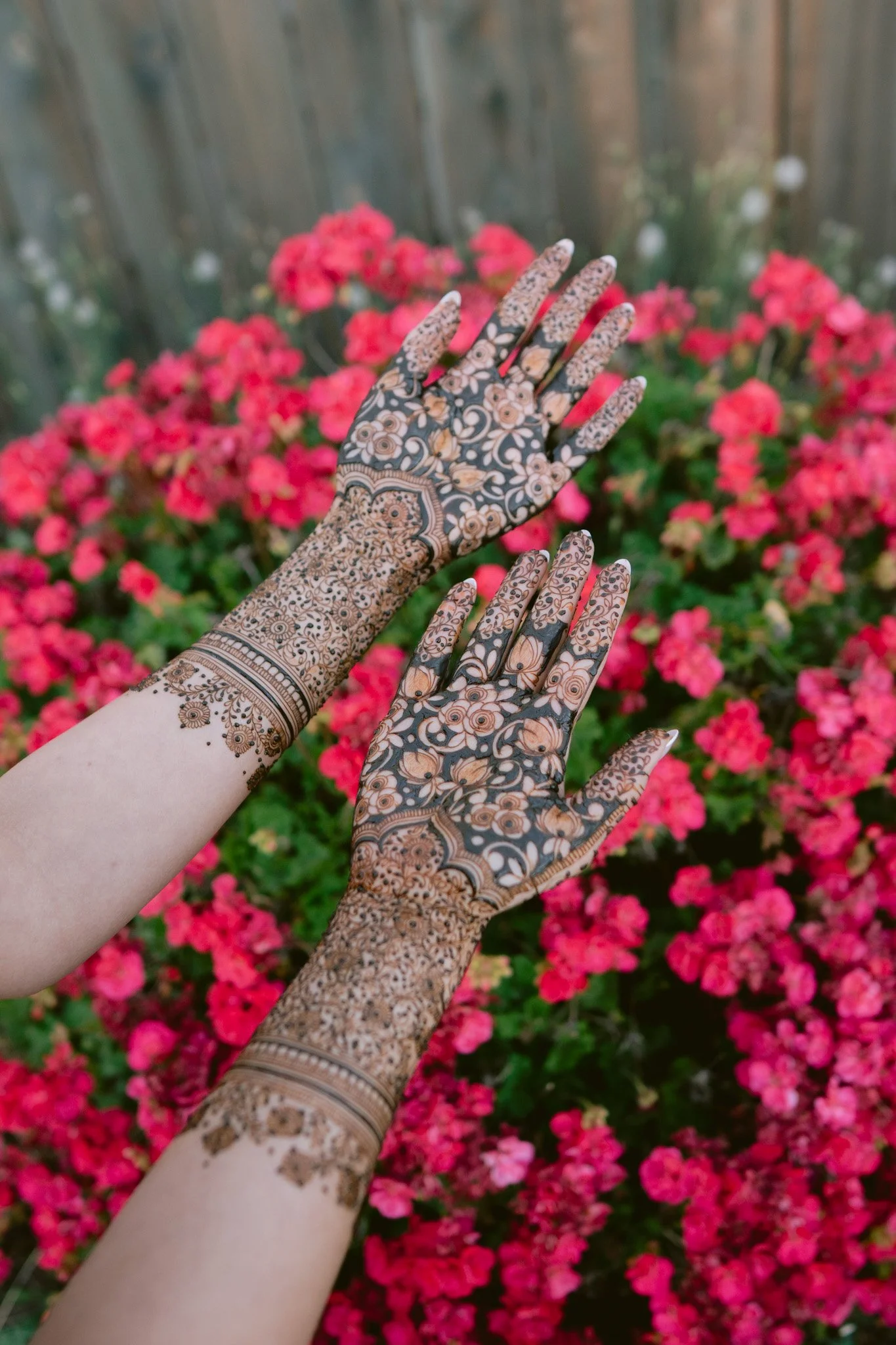 punjabibride_Mehndi_Manteca-48.jpg
