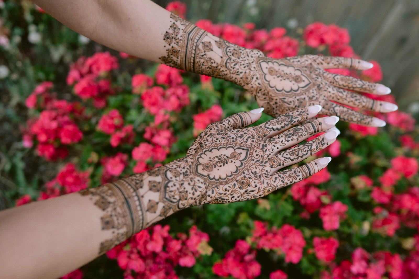 punjabibride_Mehndi_Manteca-51.jpg