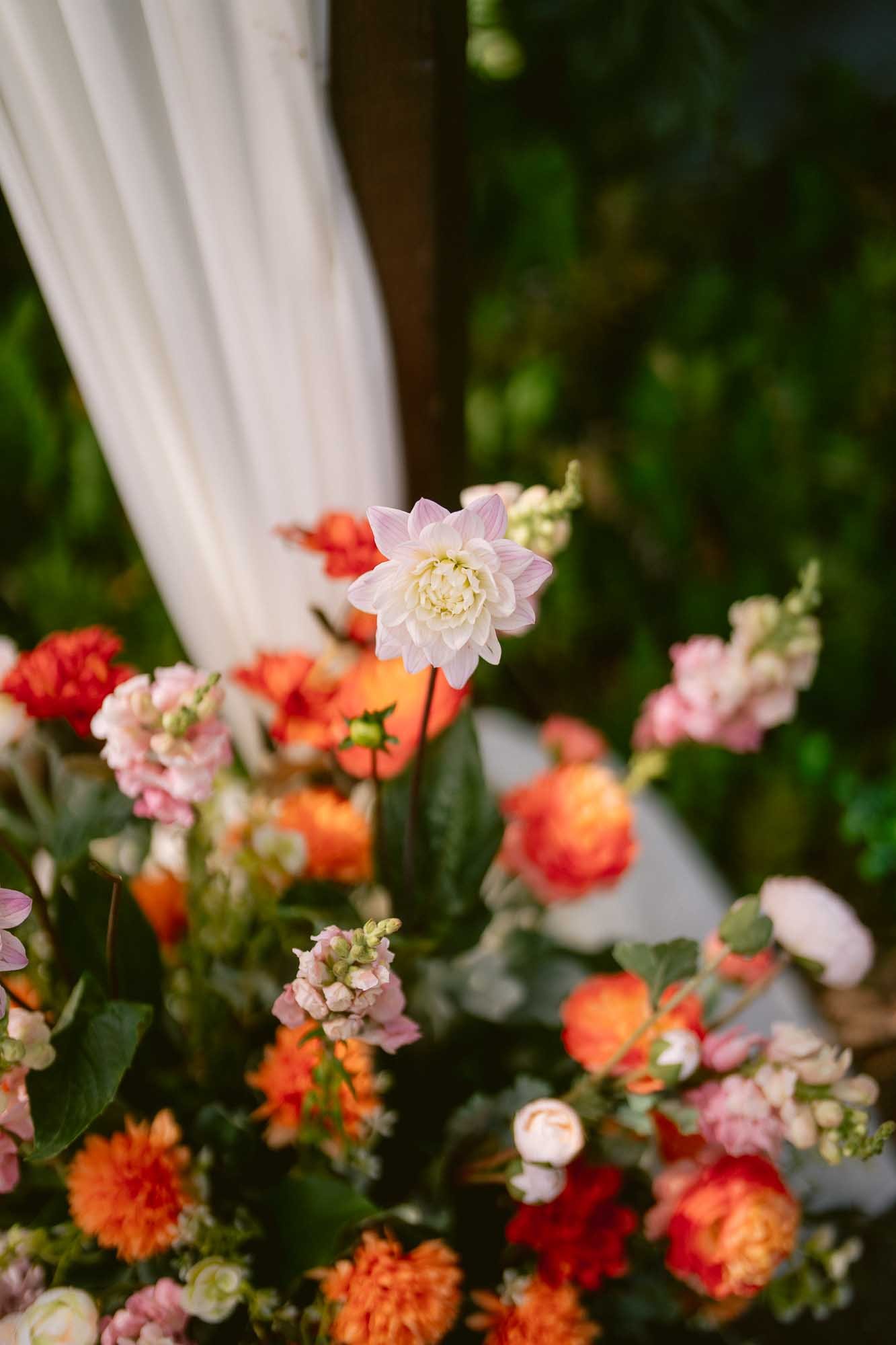 SF_Botanical_Garden_Indian_Fusion_Wedding-24.jpg