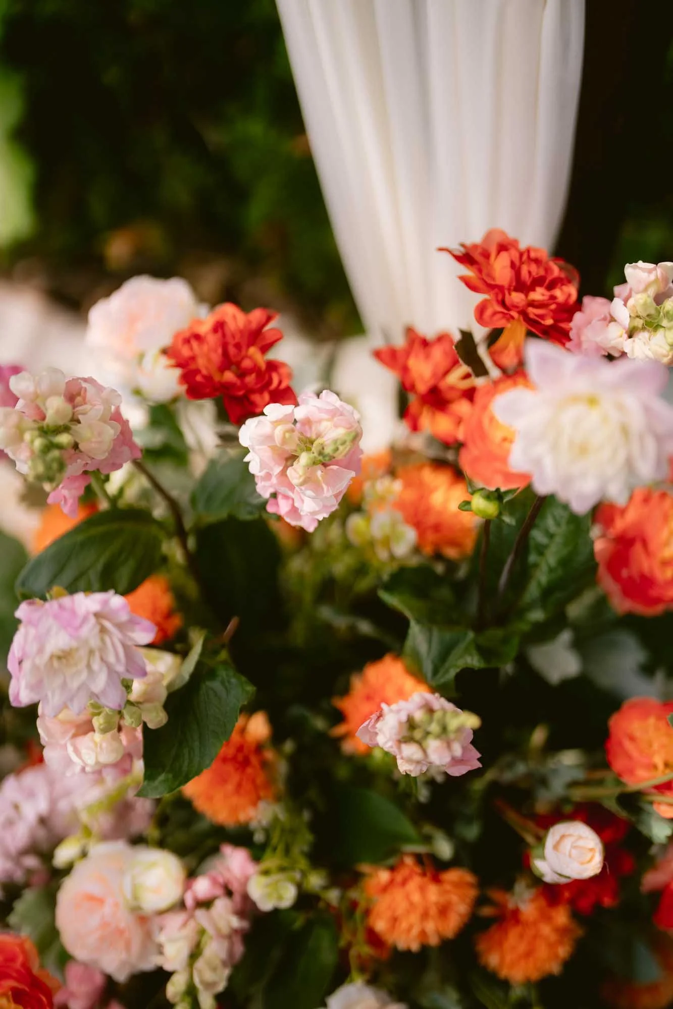 SF_Botanical_Garden_Indian_Fusion_Wedding-25.jpg