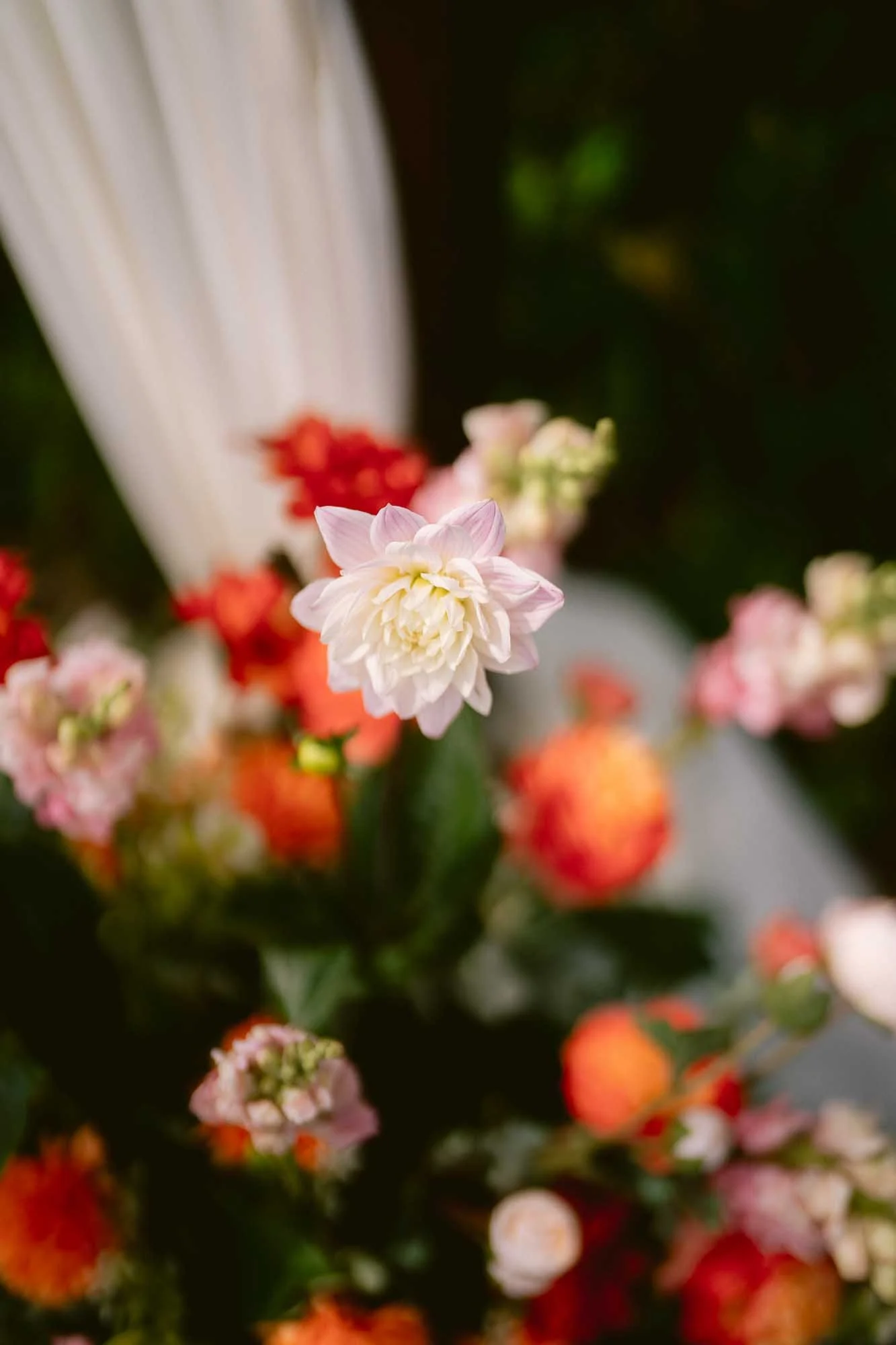 SF_Botanical_Garden_Indian_Fusion_Wedding-26.jpg