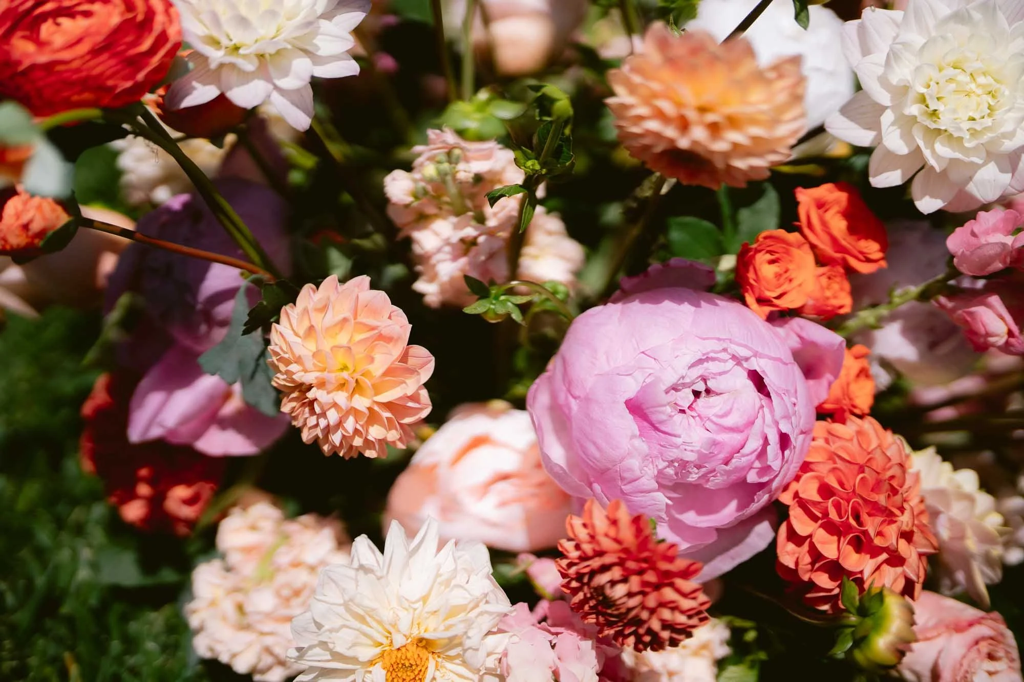 SF_Botanical_Garden_Indian_Fusion_Wedding-33.jpg