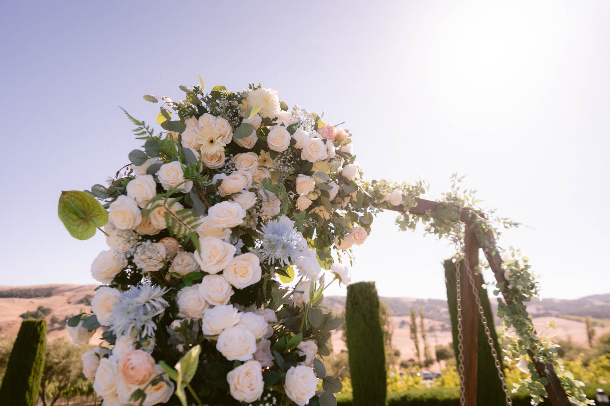 Viansa_Winery_Reception_Photos-4.jpg