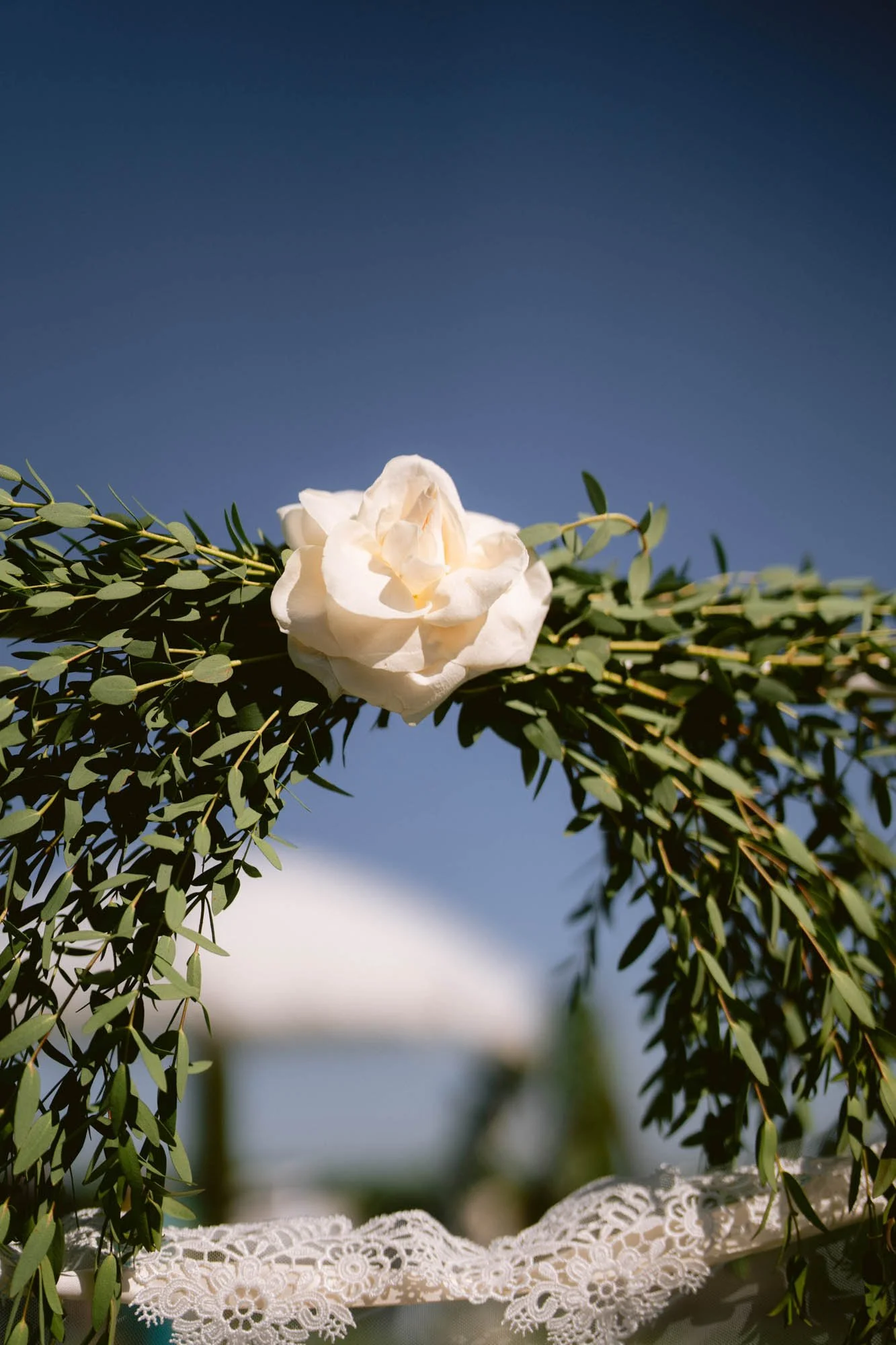 Viansa_Winery_Reception_Photos-16.jpg
