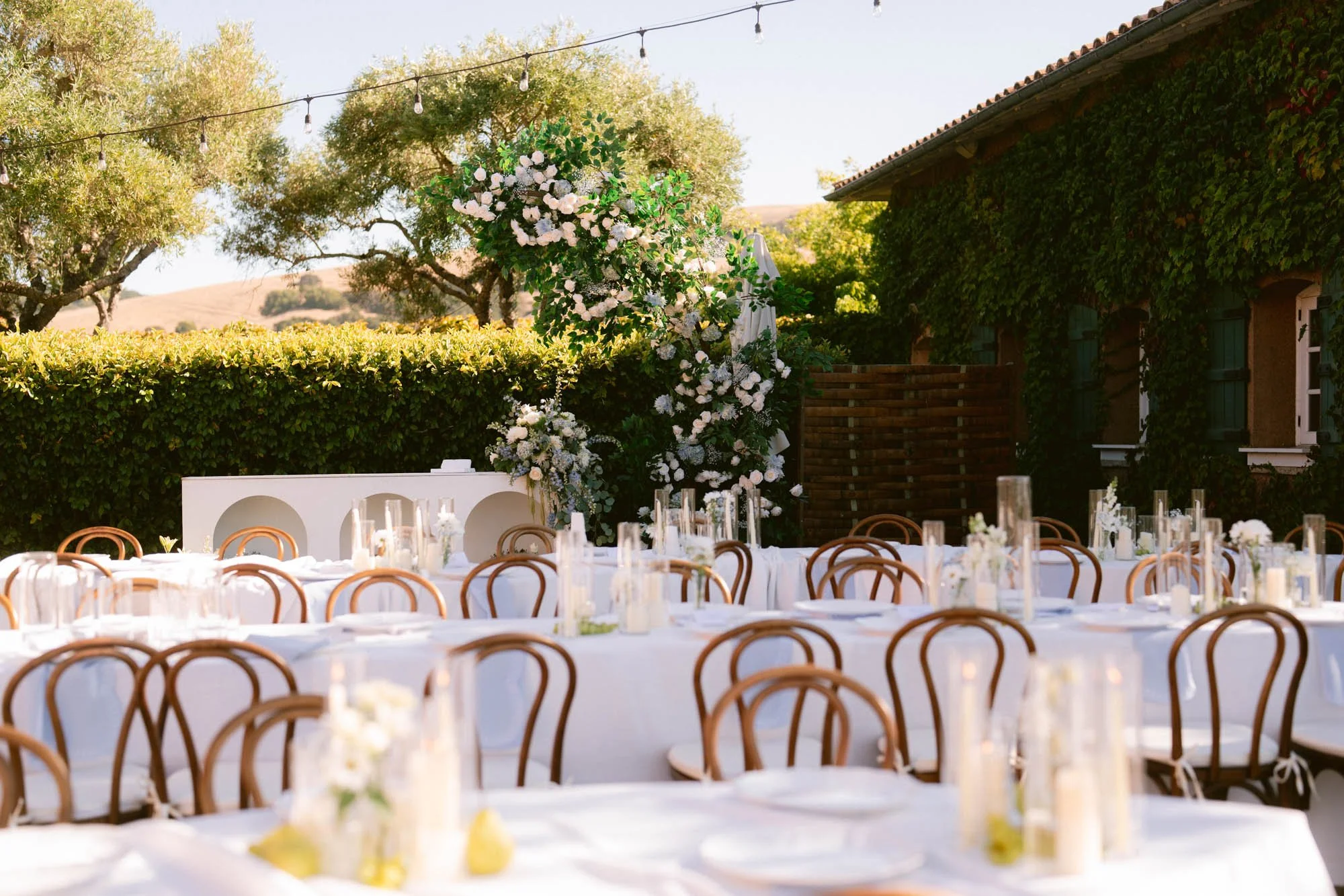 Viansa_Winery_Reception_Photos-35.jpg
