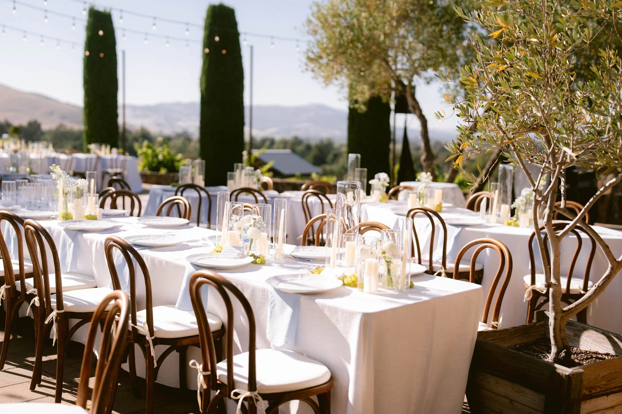 Viansa_Winery_Reception_Photos-38.jpg